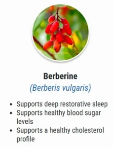 Berbern