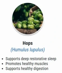 Hops